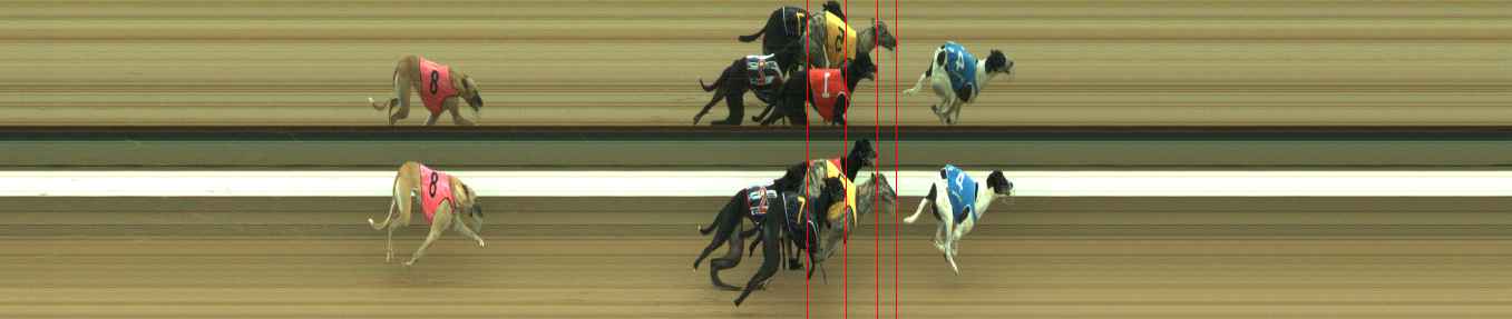 Photo finish for Warragul Race 3