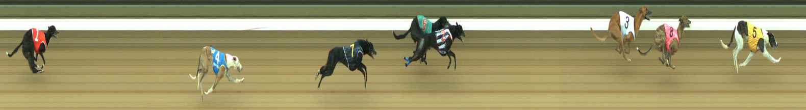 Photo finish for Warragul Race 6
