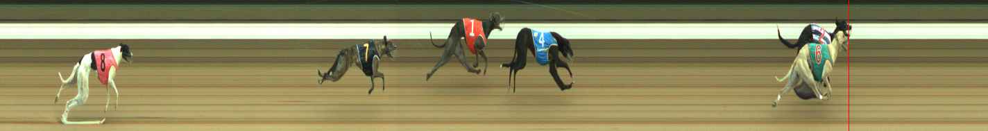 Photo finish for Warragul Race 8
