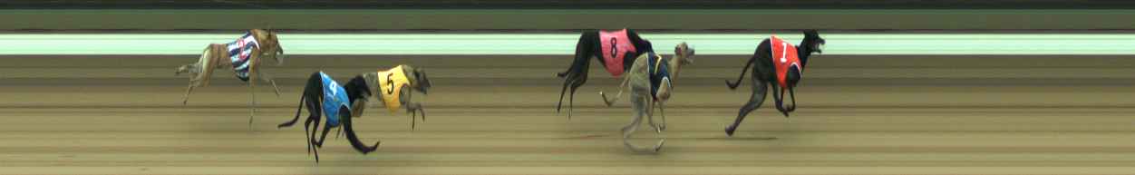 Photo finish for Warragul Race 10