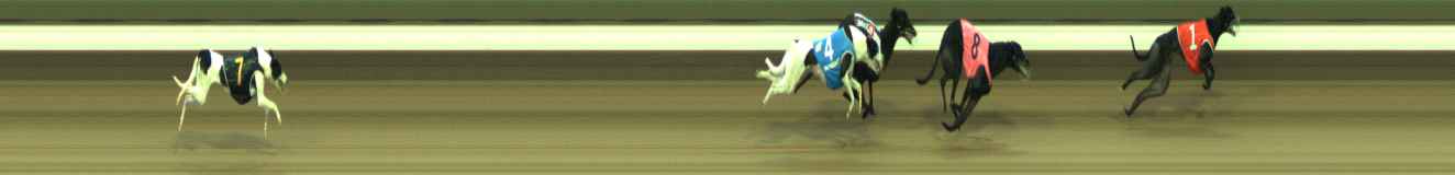 Photo finish for Warragul Race 11