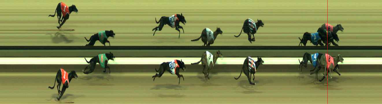 Photo finish for Warragul Race 2