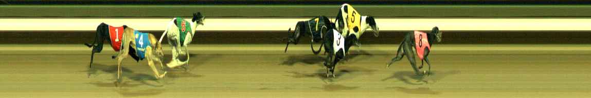 Photo finish for Warragul Race 3