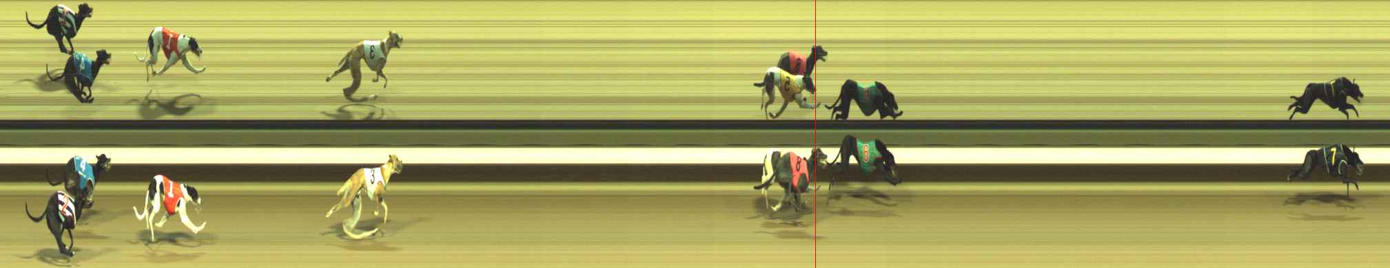 Photo finish for Warragul Race 5