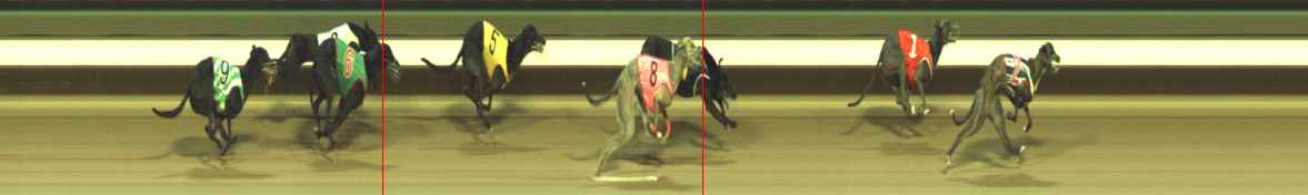 Photo finish for Warragul Race 7