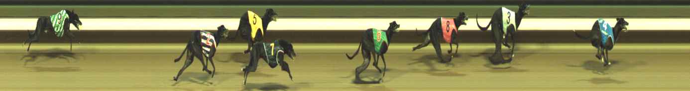 Photo finish for Warragul Race 8