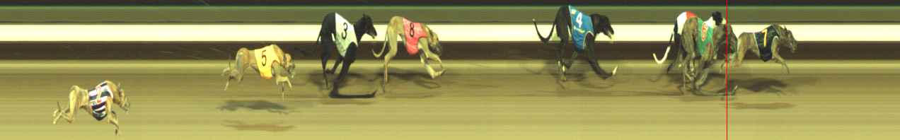 Photo finish for Warragul Race 11