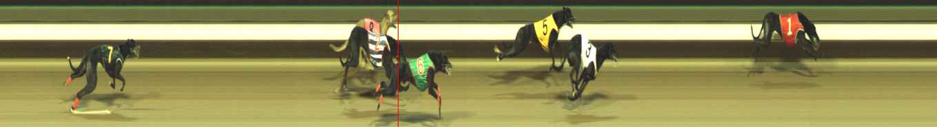 Photo finish for Warragul Race 12