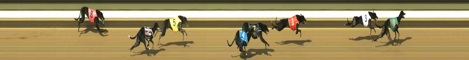 Photo finish for Warragul Race 1