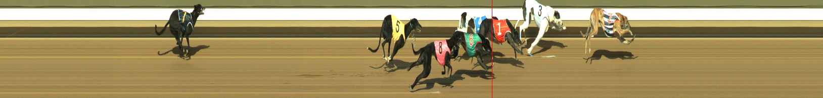 Photo finish for Warragul Race 3