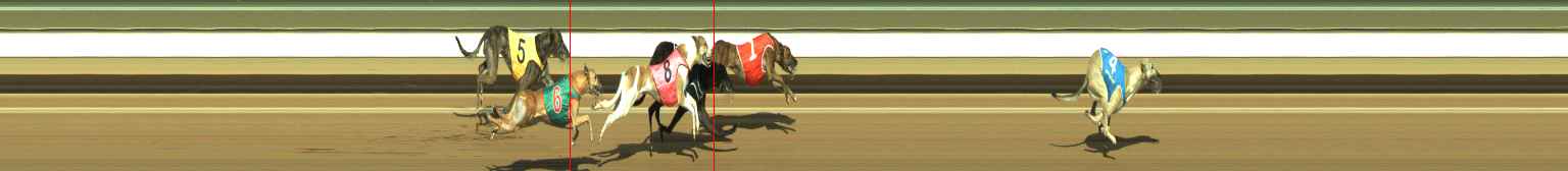 Photo finish for Warragul Race 5