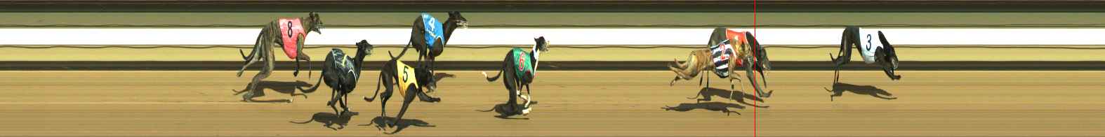 Photo finish for Warragul Race 8