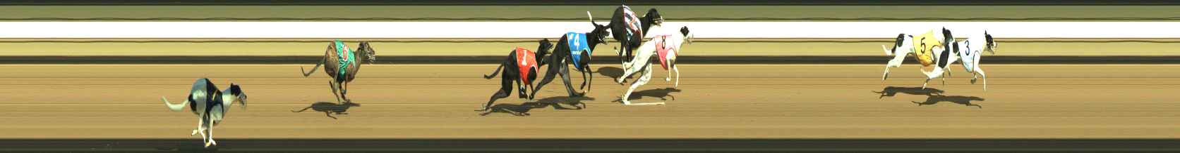 Photo finish for Warragul Race 9