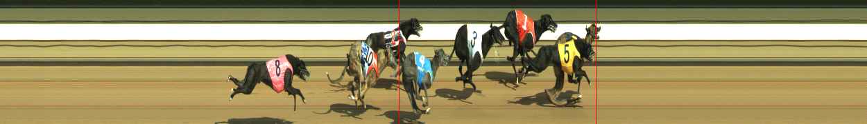 Photo finish for Warragul Race 11