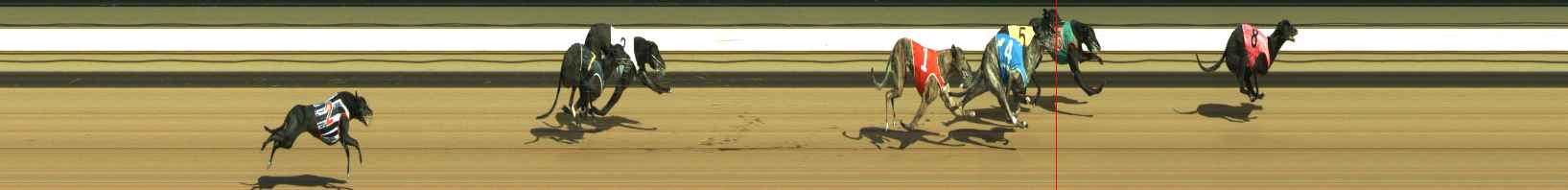 Photo finish for Warragul Race 12