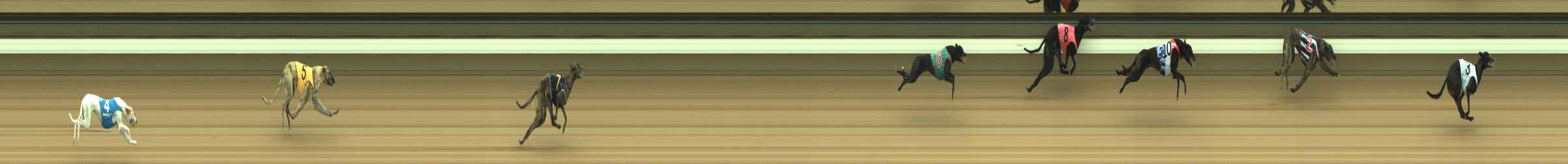Photo finish for Warragul Race 2