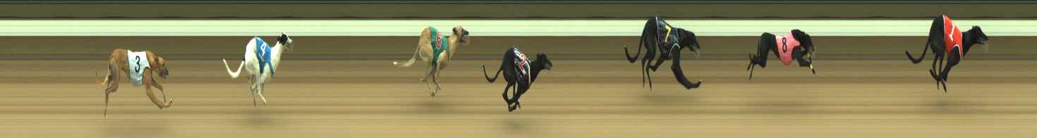 Photo finish for Warragul Race 3
