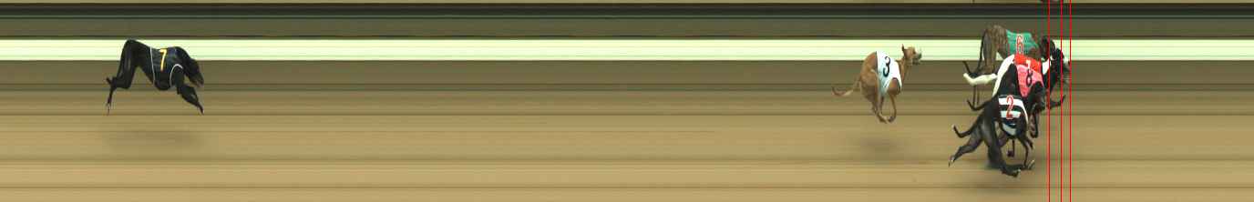 Photo finish for Warragul Race 4