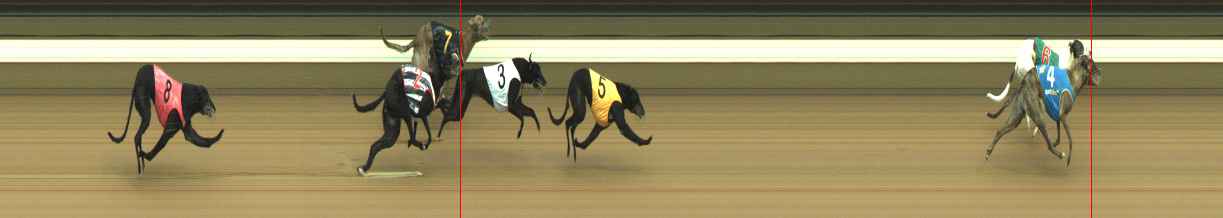 Photo finish for Warragul Race 7