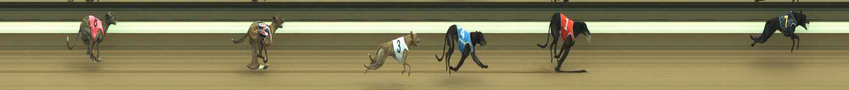 Photo finish for Warragul Race 10