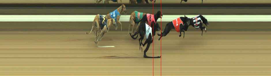 Photo finish for Warragul Race 11
