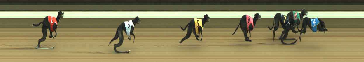 Photo finish for Warragul Race 12
