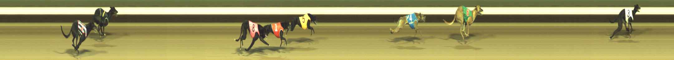 Photo finish for Warragul Race 1