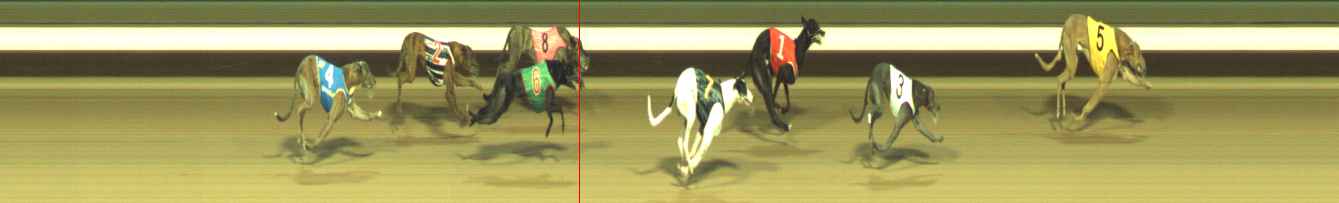 Photo finish for Warragul Race 3