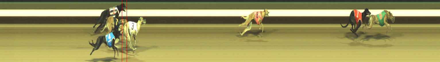 Photo finish for Warragul Race 5
