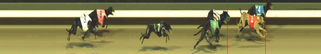 Photo finish for Warragul Race 6