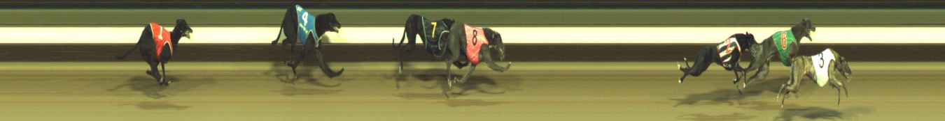 Photo finish for Warragul Race 7