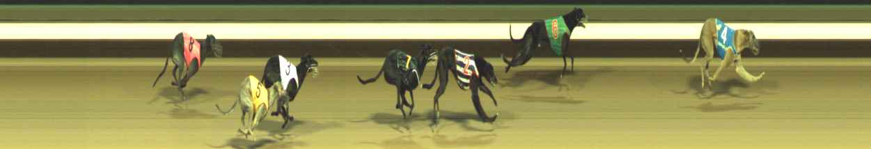 Photo finish for Warragul Race 8