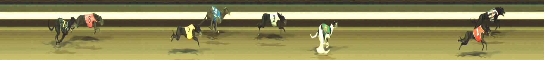 Photo finish for Warragul Race 10