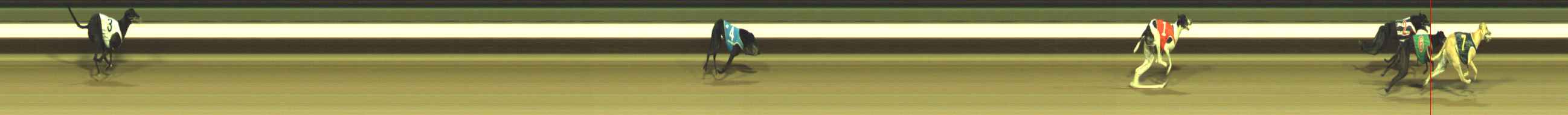 Photo finish for Warragul Race 11