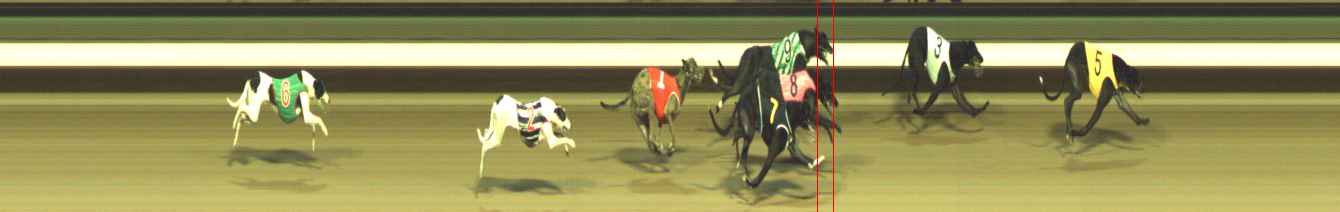 Photo finish for Warragul Race 12