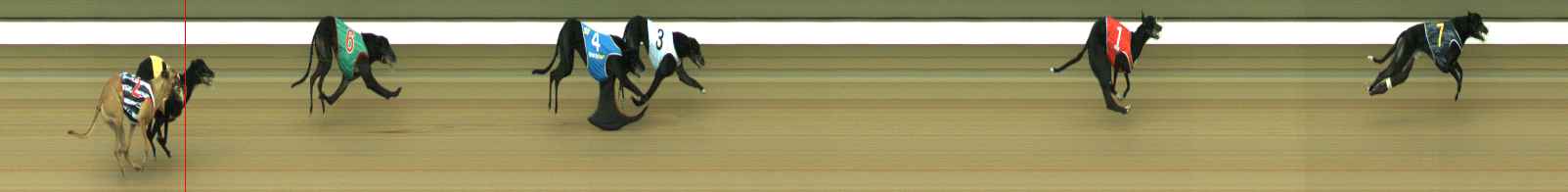 Photo finish for Warragul Race 1