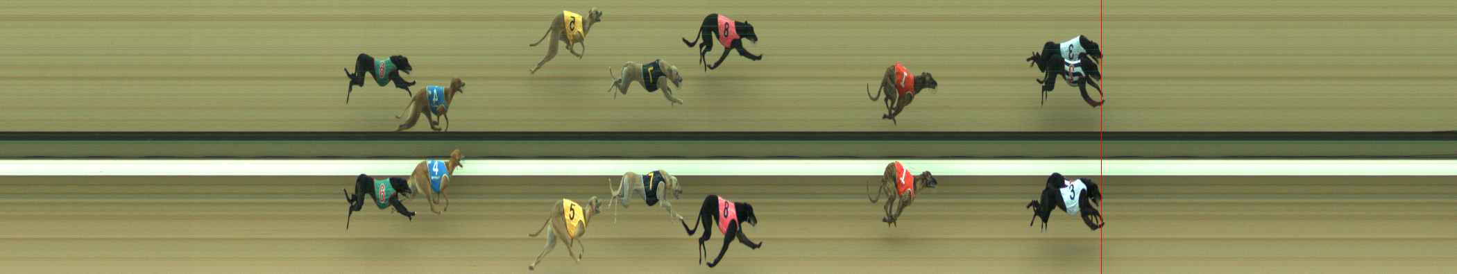 Photo finish for Warragul Race 2
