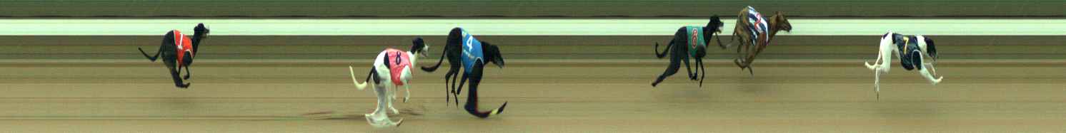 Photo finish for Warragul Race 4