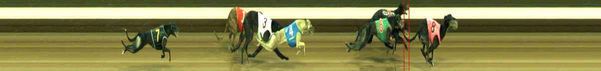 Photo finish for Warragul Race 5