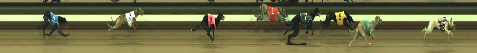 Photo finish for Warragul Race 7
