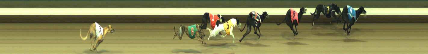 Photo finish for Warragul Race 8