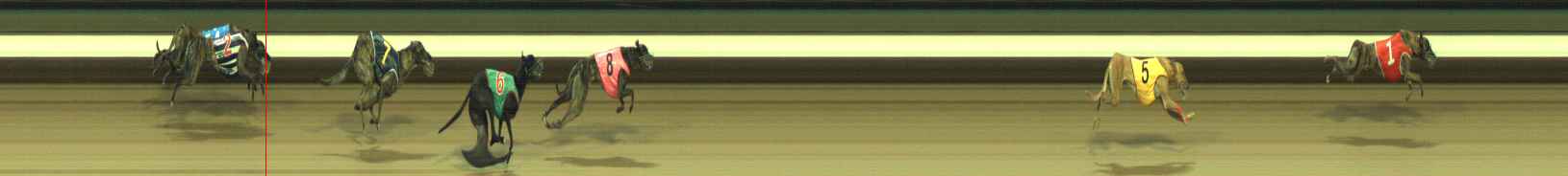 Photo finish for Warragul Race 9