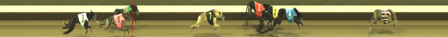 Photo finish for Warragul Race 11