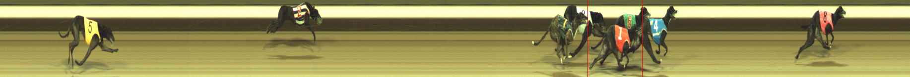 Photo finish for Warragul Race 12