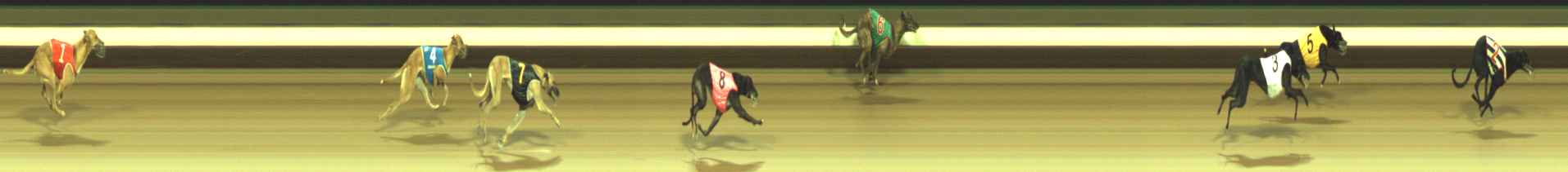 Photo finish for Warragul Race 1