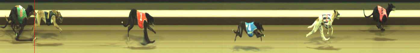 Photo finish for Warragul Race 2