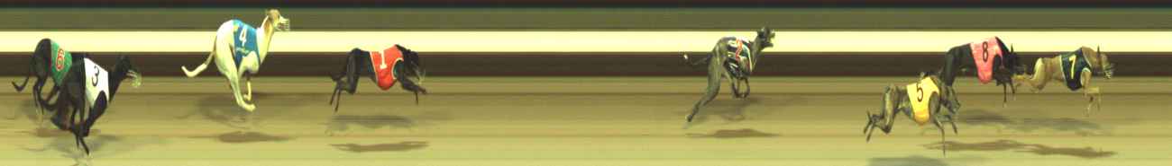 Photo finish for Warragul Race 3