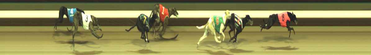 Photo finish for Warragul Race 5
