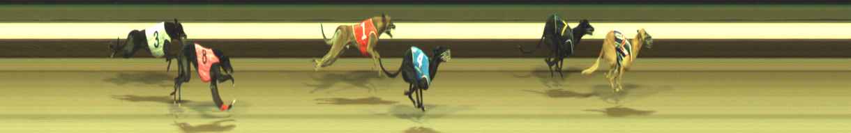 Photo finish for Warragul Race 7