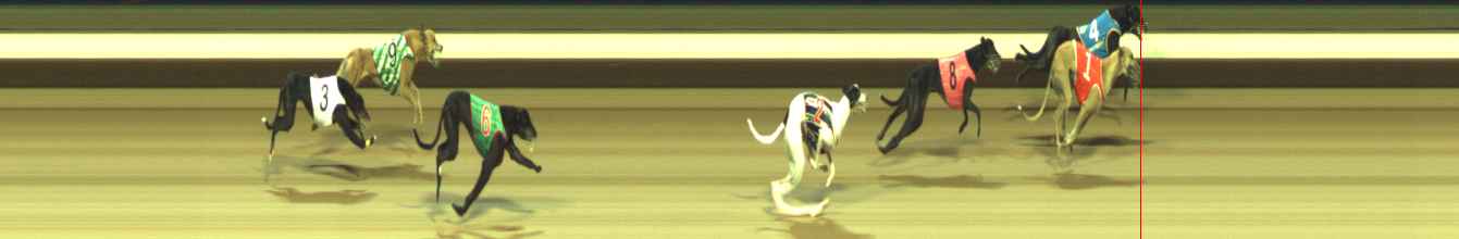 Photo finish for Warragul Race 8